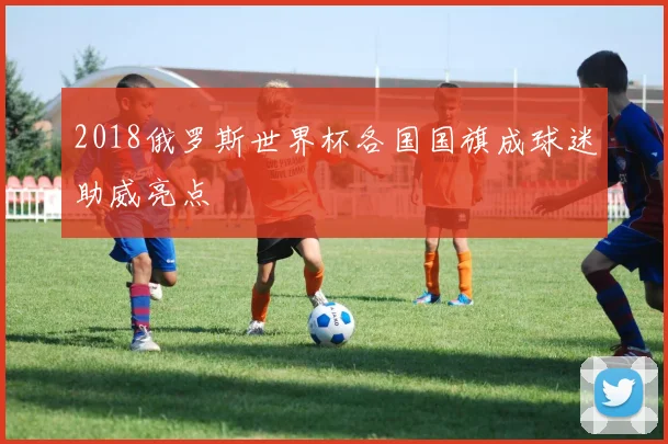 2018俄罗斯世界杯各国国旗成球迷助威亮点