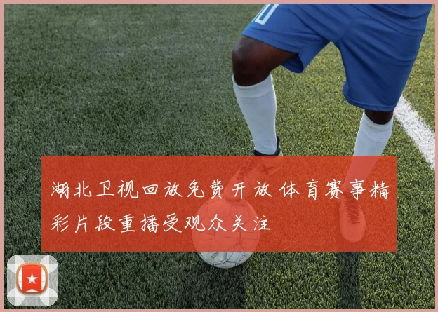 湖北卫视回放免费开放 体育赛事精彩片段重播受观众关注