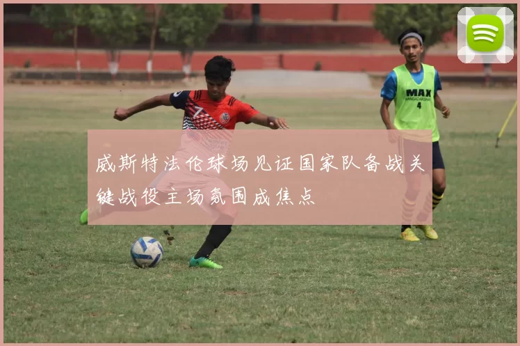 威斯特法伦球场见证国家队备战关键战役主场氛围成焦点