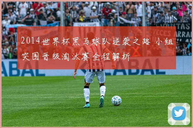 2014世界杯黑马球队逆袭之路 小组突围晋级淘汰赛全程解析